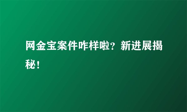 网金宝案件咋样啦？新进展揭秘！