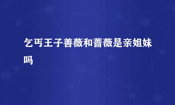 乞丐王子善薇和蔷薇是亲姐妹吗