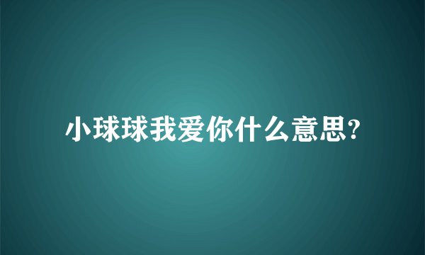 小球球我爱你什么意思?