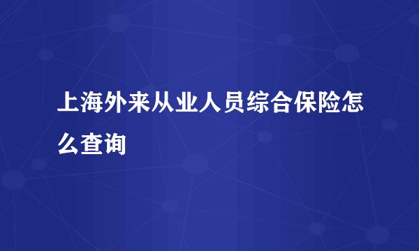 上海外来从业人员综合保险怎么查询