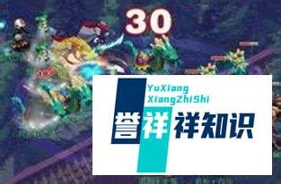 梦幻西100级剧情简介