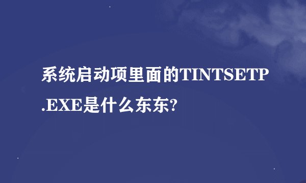 系统启动项里面的TINTSETP.EXE是什么东东?