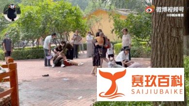 北京动物园两家人互殴，监控曝光的1个细节，当父母的简直不敢看