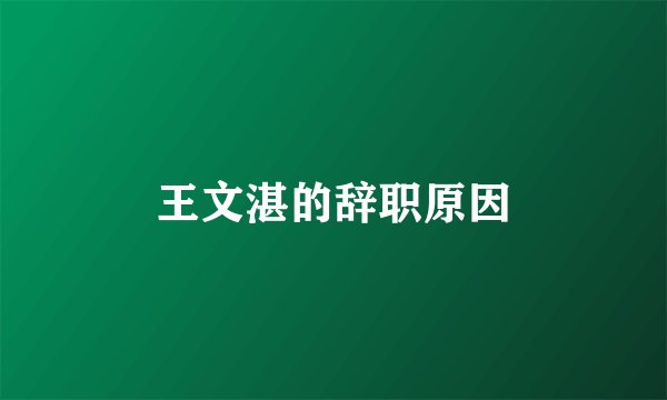 王文湛的辞职原因