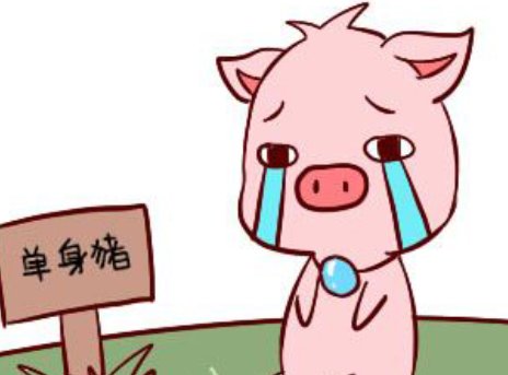己亥年是哪年
