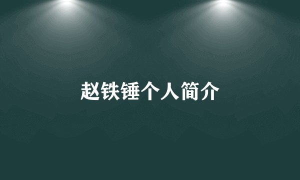 赵铁锤个人简介