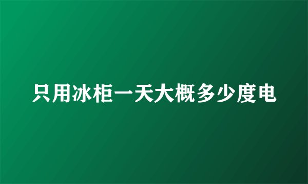 只用冰柜一天大概多少度电