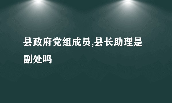 县政府党组成员,县长助理是副处吗