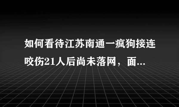 如何看待江苏南通一疯狗接连咬伤21人后尚未落网，面对恶犬，我们应该怎么办？