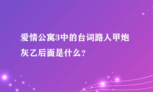 爱情公寓3中的台词路人甲炮灰乙后面是什么？