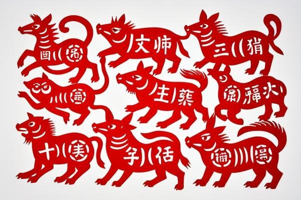 十全十美人生盼是什么生肖