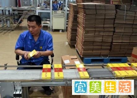 卷烟厂流水线上硕士学历员工超30%与68岁老太网恋奔现失败被放鸽子
