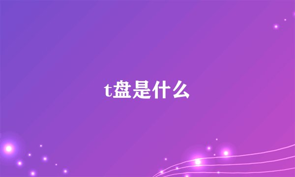 t盘是什么