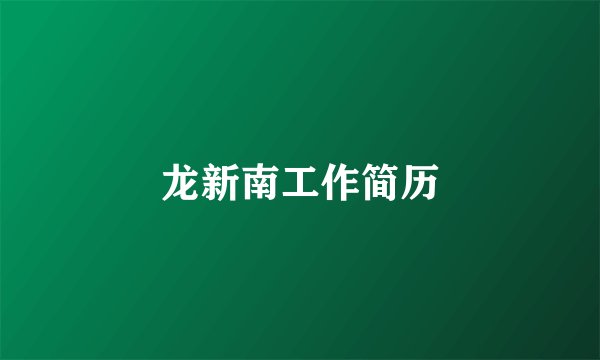 龙新南工作简历