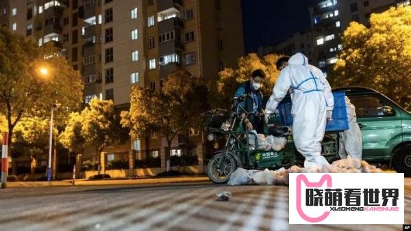 上海买菜难，究竟难在哪？从业者用大白话给您说说