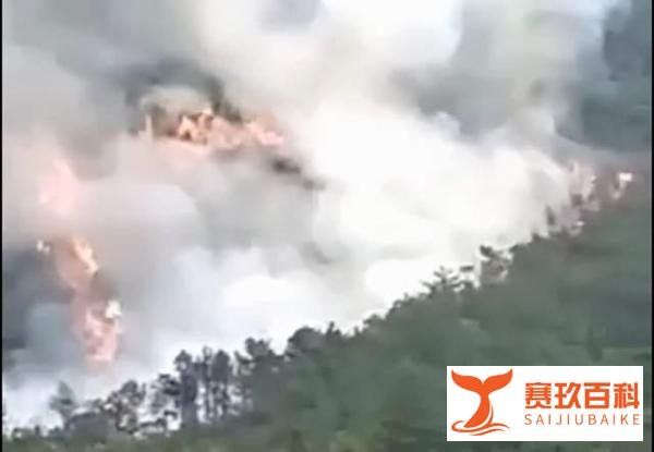 东航客机坠毁，机上132人！飞机垂直向下，2分钟速降8000米
