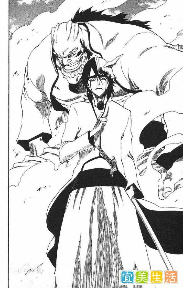 《死神》十刃No10牙密·里亚尔戈:愤怒是力量,冲动却是魔鬼