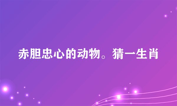 赤胆忠心的动物。猜一生肖