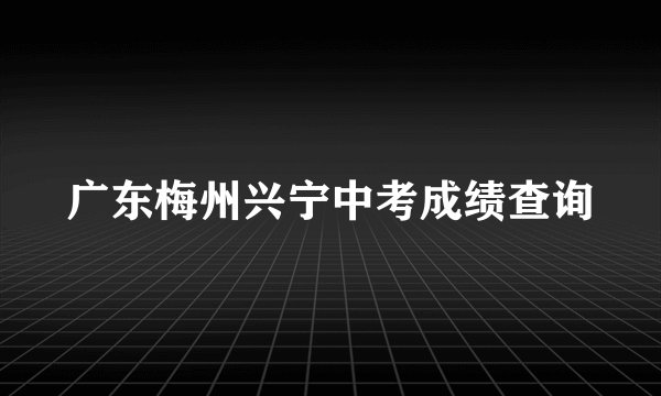 广东梅州兴宁中考成绩查询