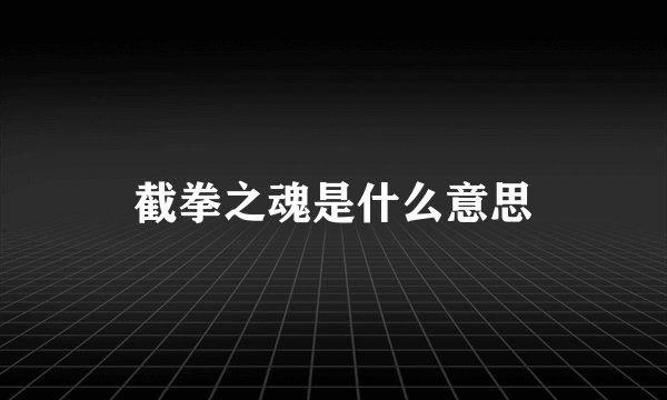 截拳之魂是什么意思