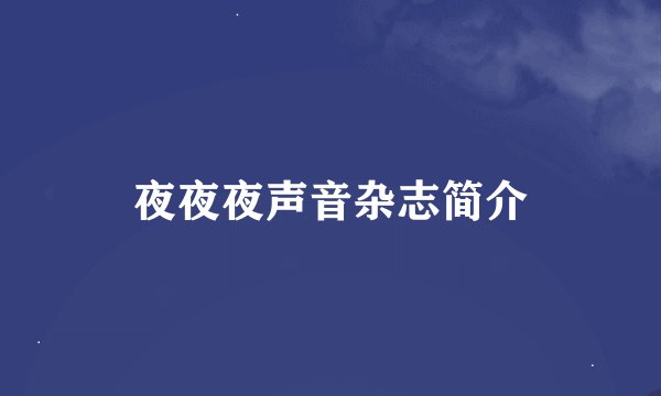 夜夜夜声音杂志简介