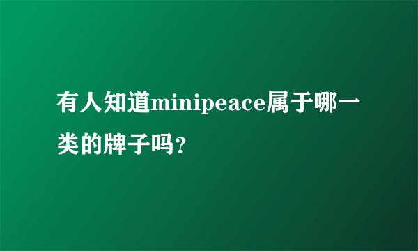 有人知道minipeace属于哪一类的牌子吗？