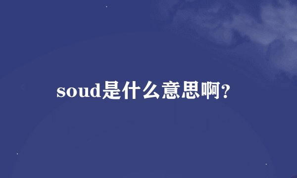 soud是什么意思啊？