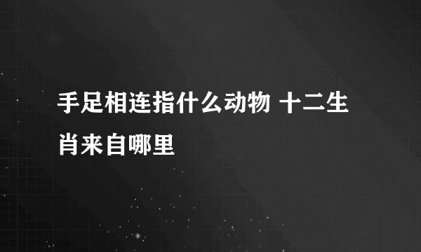 手足相连指什么动物 十二生肖来自哪里