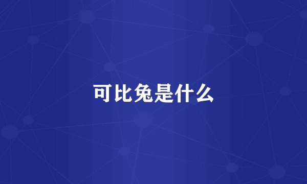 可比兔是什么