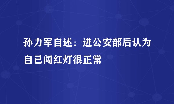 孙力军自述：进公安部后认为自己闯红灯很正常