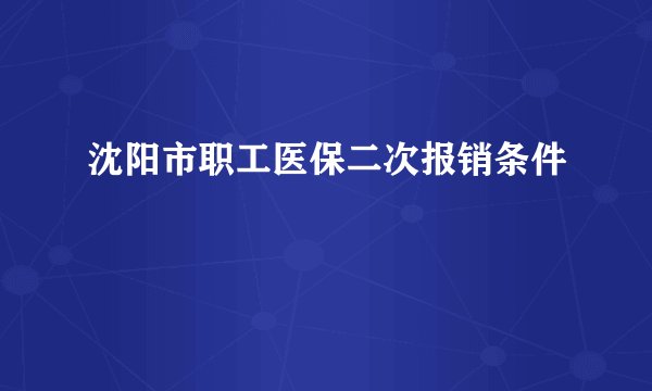 沈阳市职工医保二次报销条件