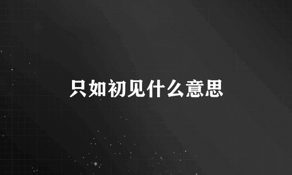 只如初见什么意思
