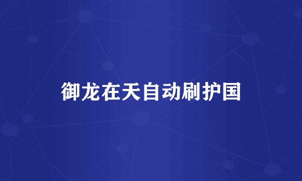 御龙在天自动刷护国