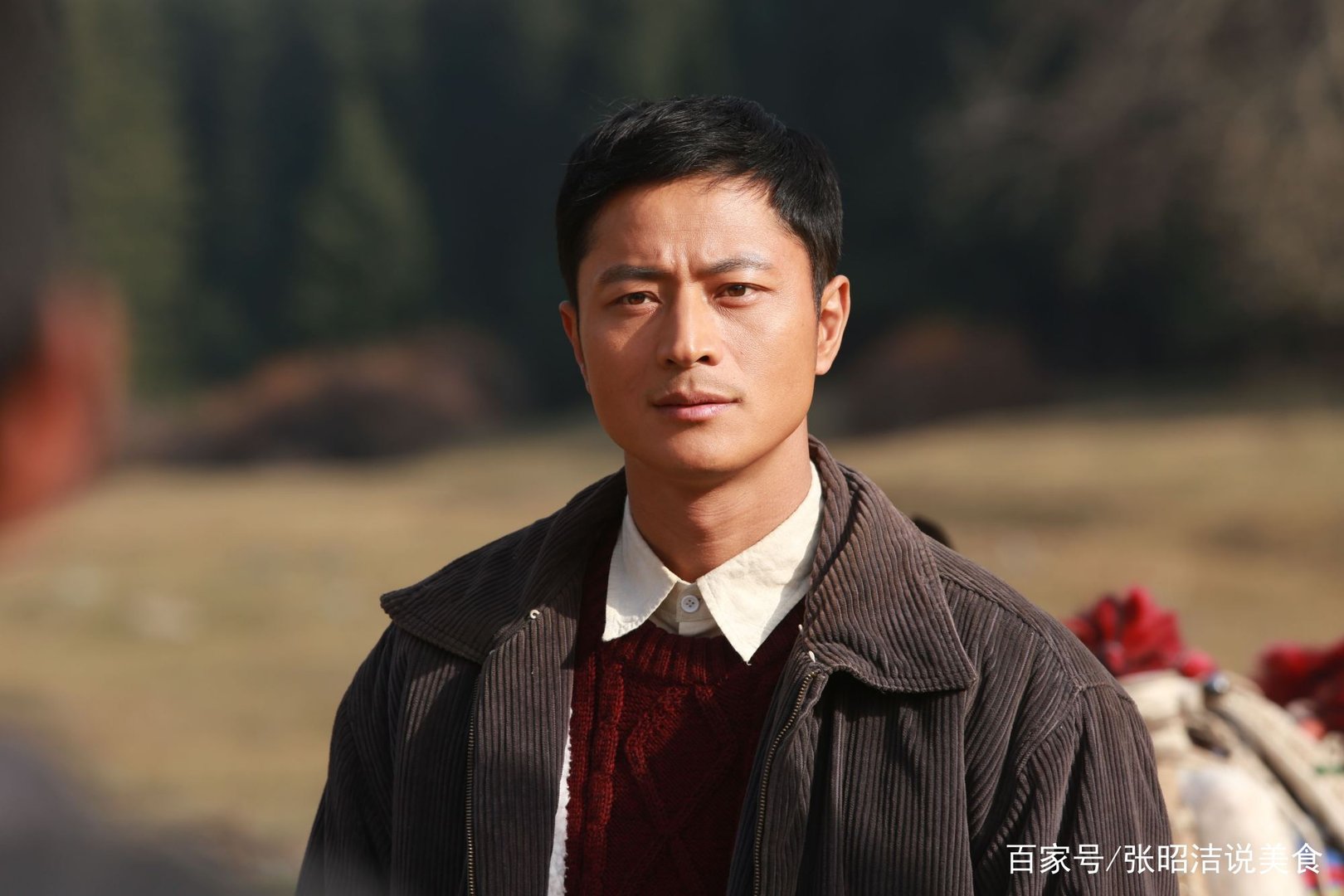 大牧歌分集剧情介绍