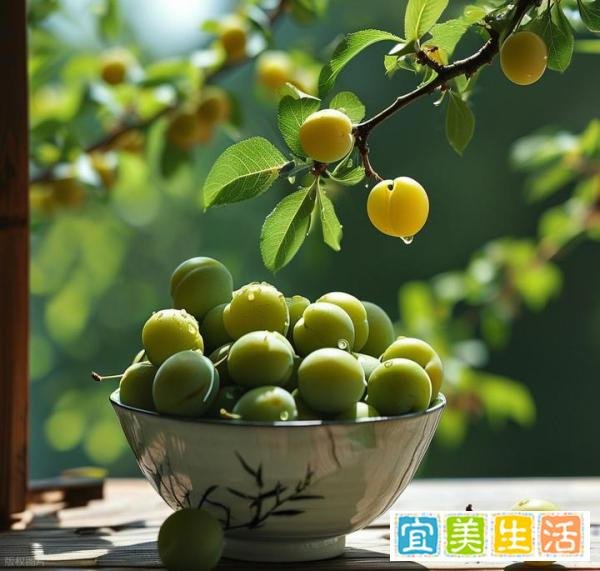 2025年入梅、出梅时间表来了！哪天入梅？有何影响？需要注意什么？