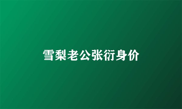 雪梨老公张衍身价