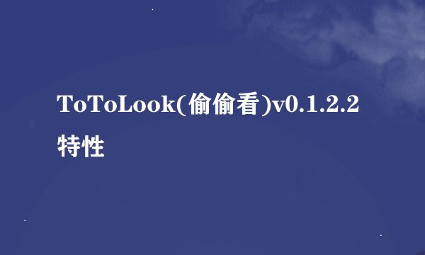 ToToLook(偷偷看)v0.1.2.2特性