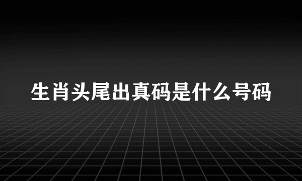 生肖头尾出真码是什么号码