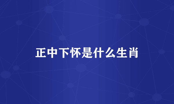 正中下怀是什么生肖
