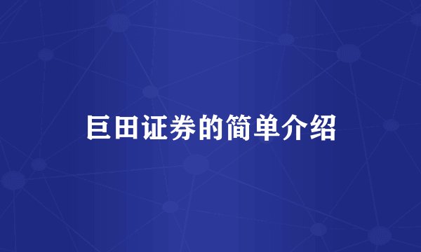 巨田证券的简单介绍