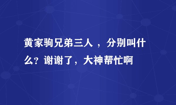 黄家驹兄弟三人 ，分别叫什么？谢谢了，大神帮忙啊