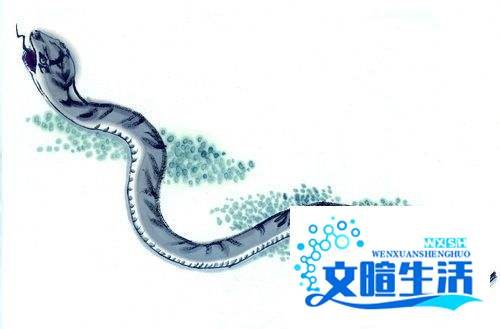 2013年蛇宝宝起名大全