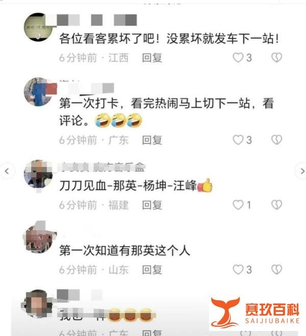 那英评论区现状，被网友攻陷了！都说是来看评论的