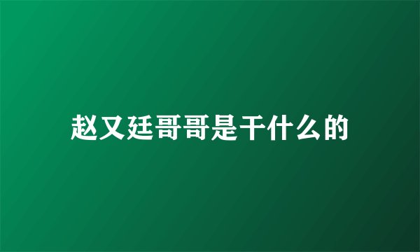 赵又廷哥哥是干什么的