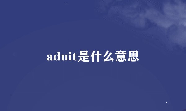 aduit是什么意思