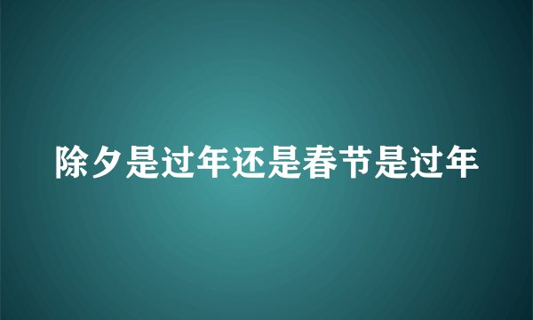 除夕是过年还是春节是过年