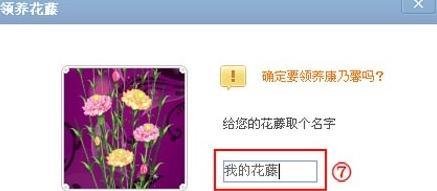 qq空间花藤怎么弄出来方法