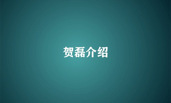 贺磊介绍