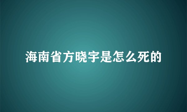 海南省方晓宇是怎么死的