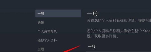 steam库存为私密状态